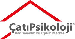cati-danismanlik